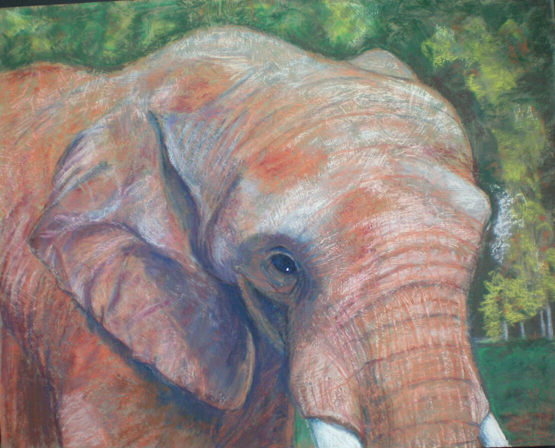 Big Fella - Cathy E Geib - 16'' x 20'' - Pastel on Gator Board w/Textured Service