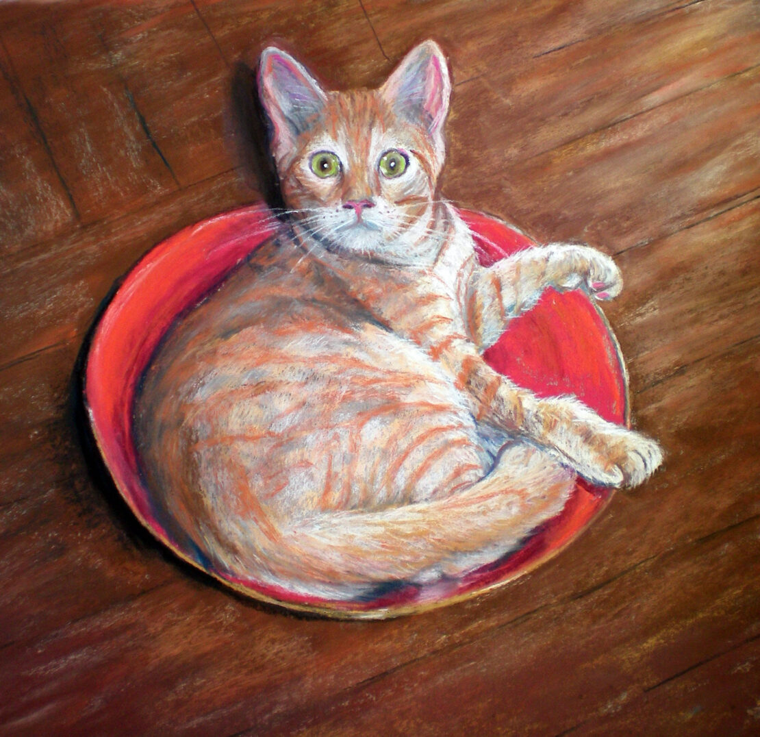 Caught Red Handed - Cathy E Geib - 10'' x 11'' - Pastel on Sanded Paper