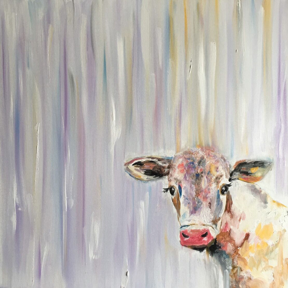 Cindy Lou Moo - Jose Antonio Ayala - 30'' x 30'' - Oil on Canvas