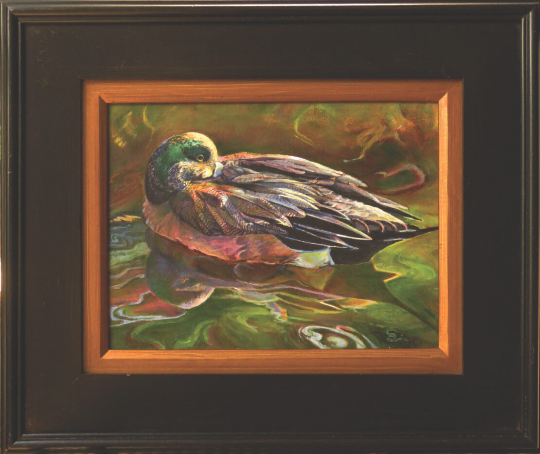 American Widgeon - Sonja Quarles - 16'' x 19'' - Acrylic on Canvas