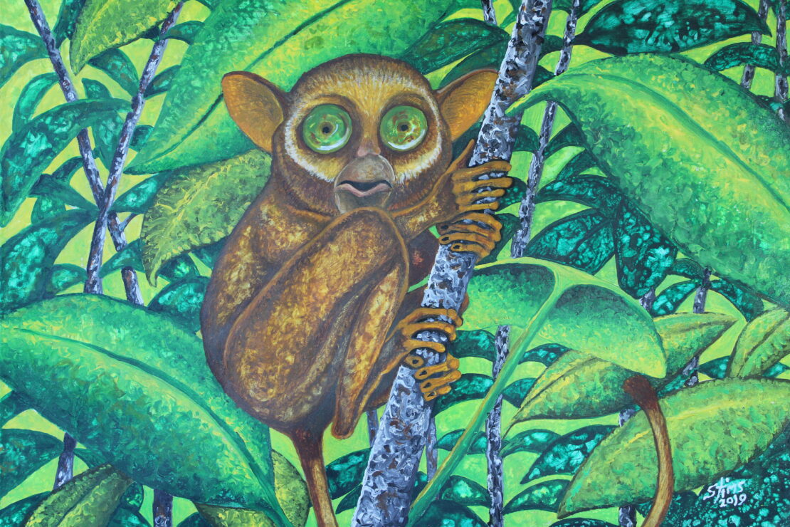 Tarsier - Stan Tims - 18" x 24" - Watercolor on Canvas