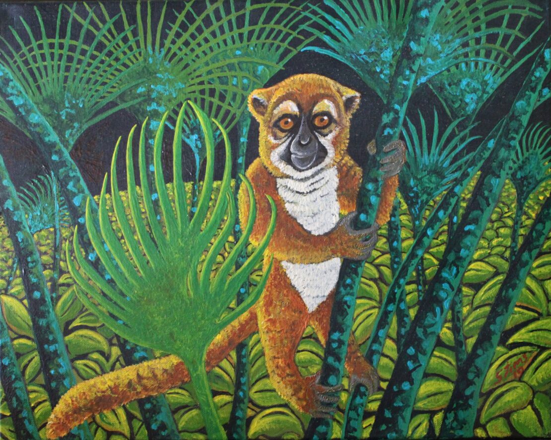 Bamboo Lemur, Madagascar - Stan Tims - 16" x 20" - Watercolor on Canvas