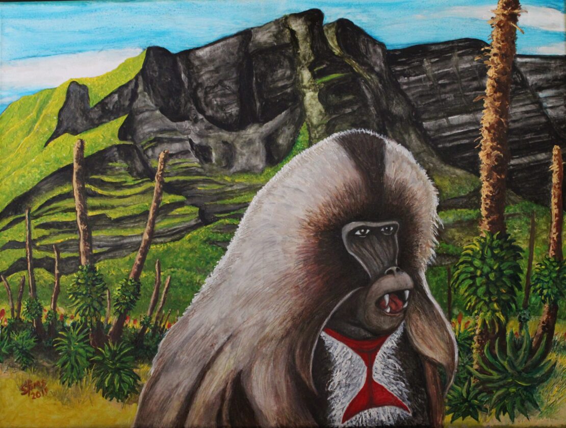 Gelada, East Africa - Stan Tims - 18" x 24" - Watercolor on Canvas