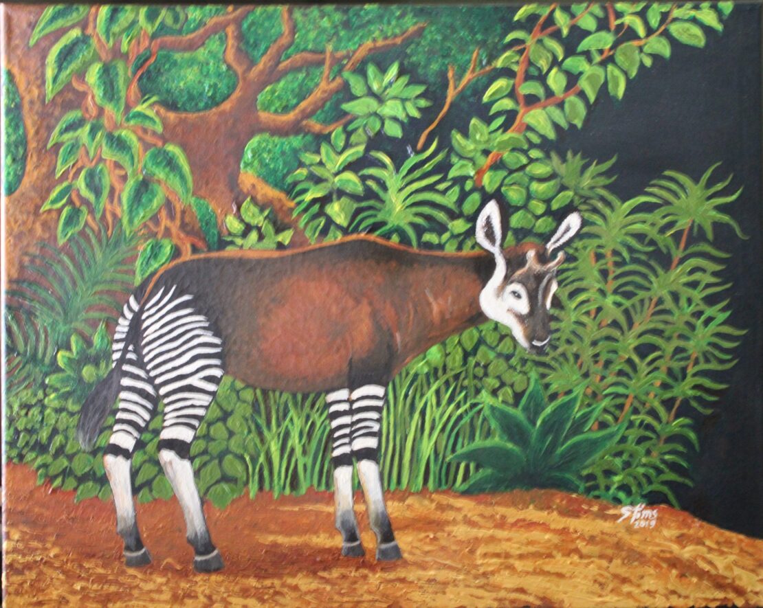 Okapi, Central Africa - Stan Tims - 16" x 20" - Watercolor on Canvas