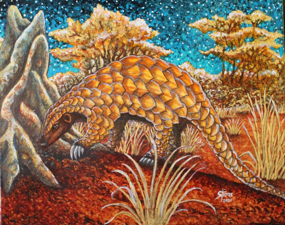 Pangolin, Asia and Africa - Stan Tims - 16" x 20" - Watercolor on Canvas