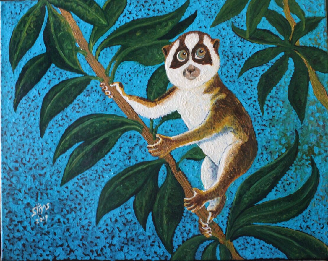 Slow Loris, Southeast Asia - Stan Tims - 16" x 20" - Watercolor on Canvas