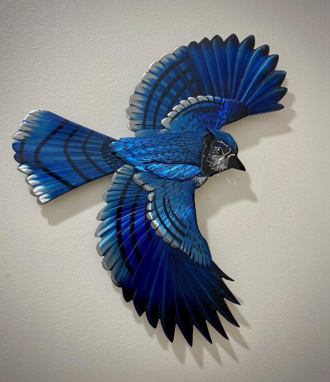 Blue Jay in Flight - Aaron Bialaszewski - 12" x 15" - Dyed Steel