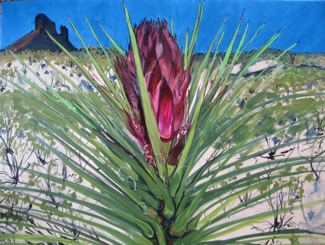 Yucca - Pamela Reed - 24" x 30" - Oil on Canvas